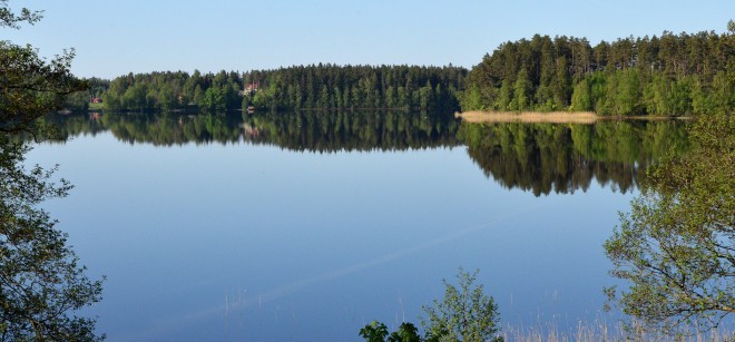 Skolans närmsta 