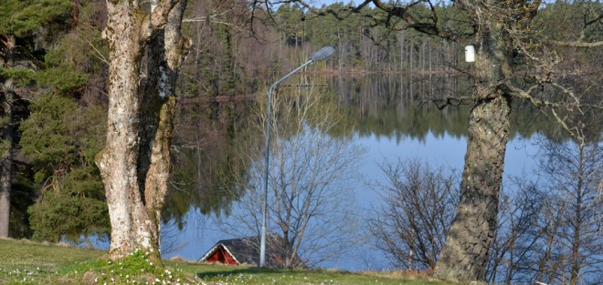 En magisk dag