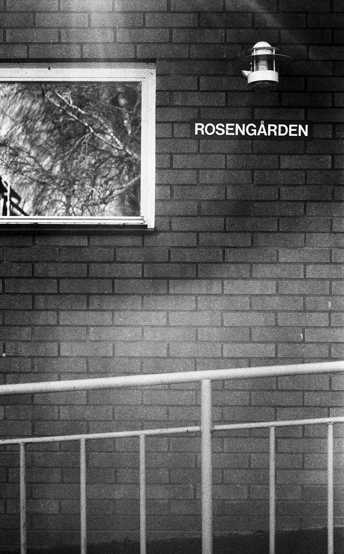Rosengården#1