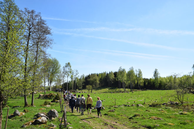Spännande profiler på Allmän kurs