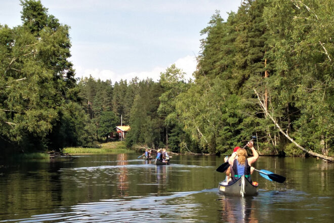 Friskvård och hälsa...