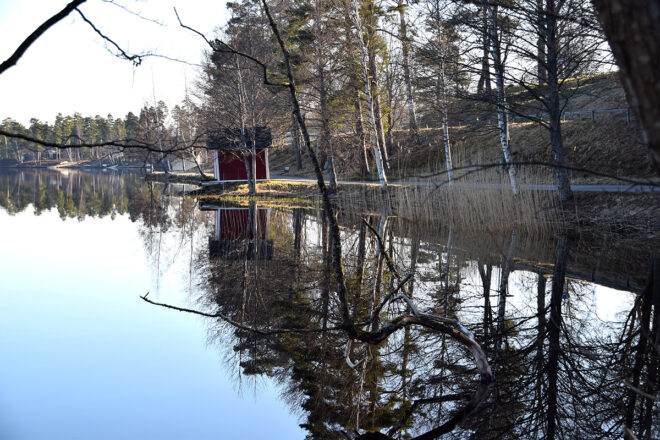 ”Det är unikt med vår skola”